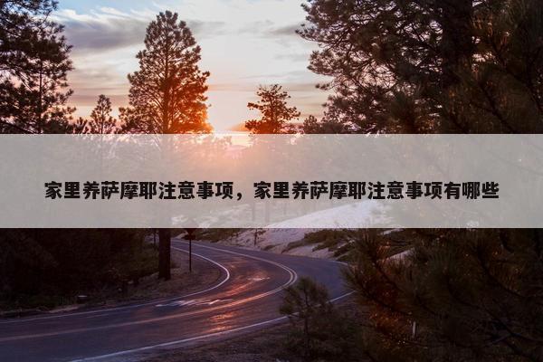 家里养萨摩耶注意事项，家里养萨摩耶注意事项有哪些