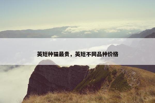 英短种猫最贵，英短不同品种价格