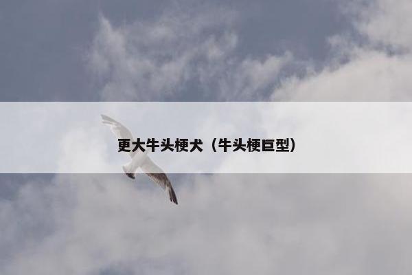更大牛头梗犬（牛头梗巨型）