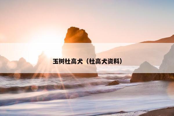 玉树杜高犬（杜高犬资料）