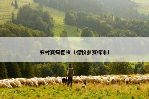 赛级