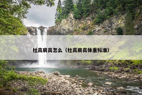 杜高肩高怎么（杜高肩高体重标准）