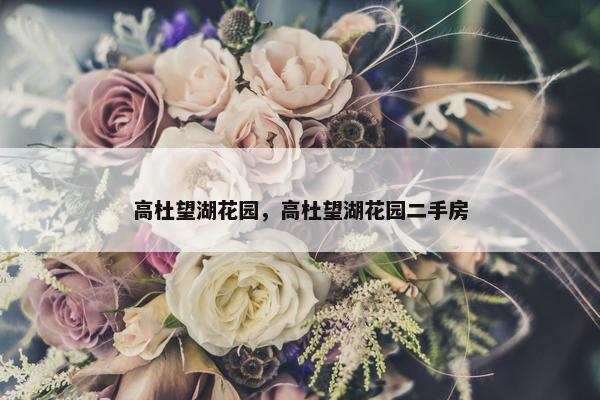 高杜望湖花园，高杜望湖花园二手房