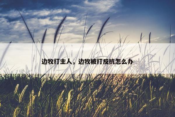 边牧打主人,边牧被打反抗怎么办