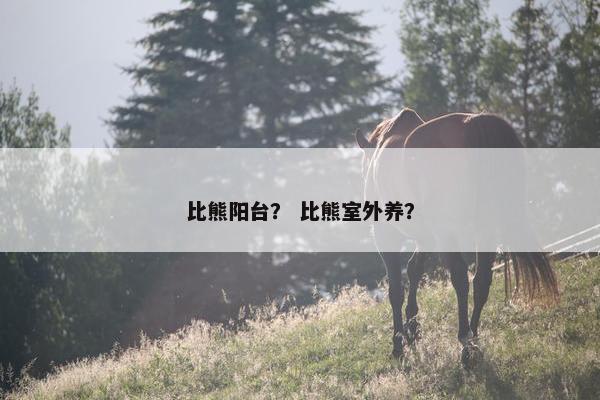 比熊阳台？ 比熊室外养？