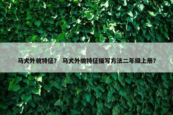 马犬外貌特征? 马犬外貌特征描写方法二年级上册?