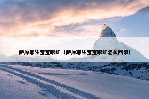 眼红