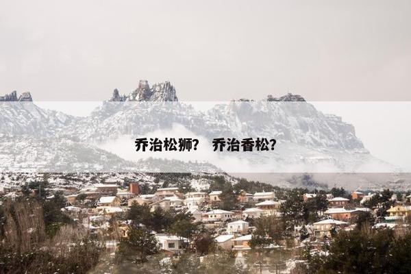 乔治松狮? 乔治香松?