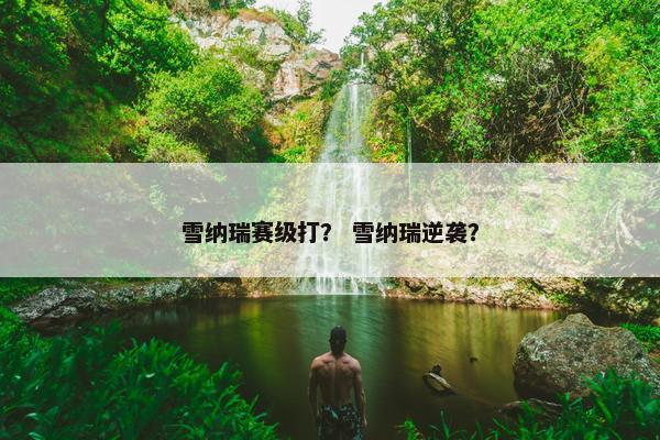雪纳瑞赛级打？ 雪纳瑞逆袭？