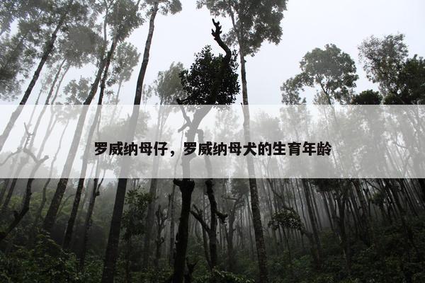 罗威纳母仔,罗威纳母犬的生育年龄