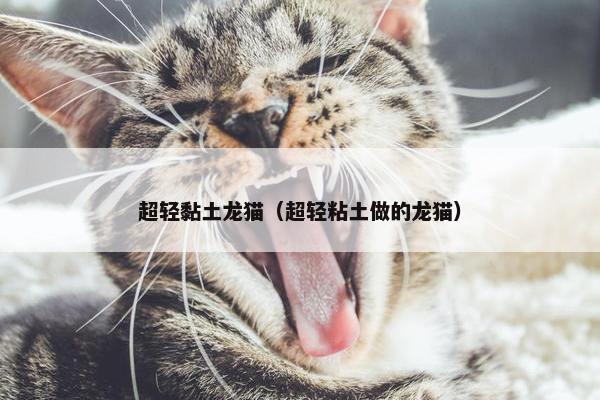 超轻黏土龙猫（超轻粘土做的龙猫）