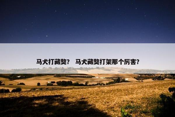 马犬打藏獒？ 马犬藏獒打架那个厉害？