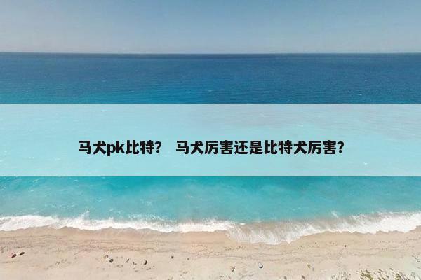 攻击力