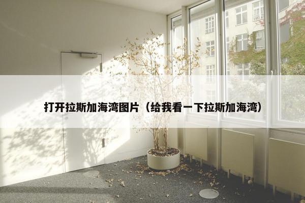 舰队