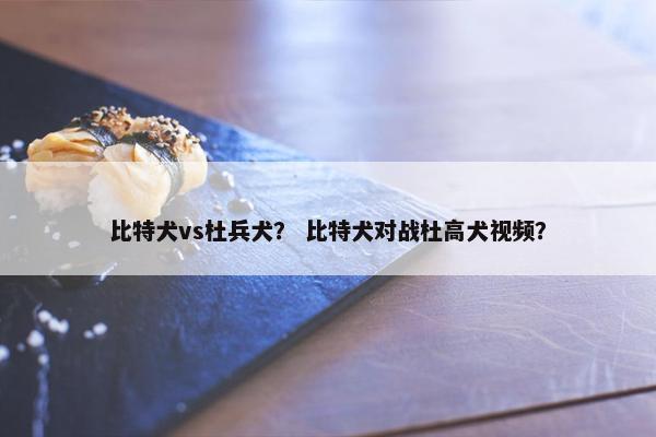 比特犬vs杜兵犬? 比特犬对战杜高犬视频?