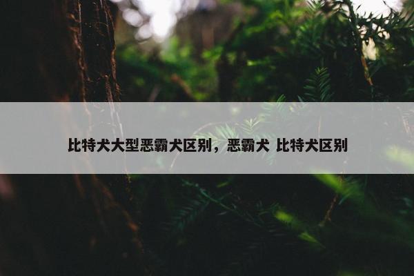 比特犬大型恶霸犬区别，恶霸犬 比特犬区别