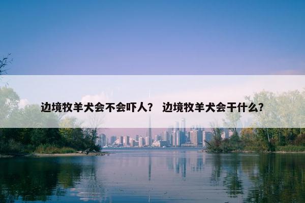 牧羊犬 第18页