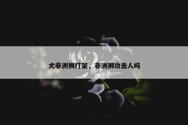 犬非洲狮打架,非洲狮攻击人吗