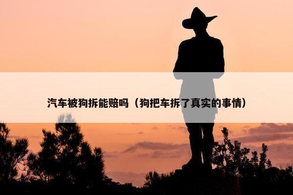 汽车被狗拆能赔吗（狗把车拆了真实的事情）