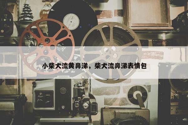 小柴犬流黄鼻涕，柴犬流鼻涕表情包