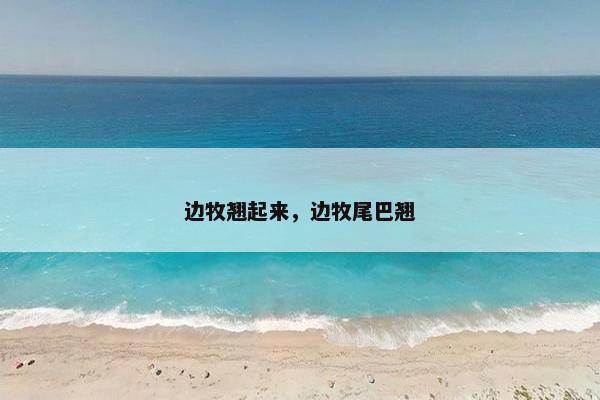 边牧翘起来，边牧尾巴翘