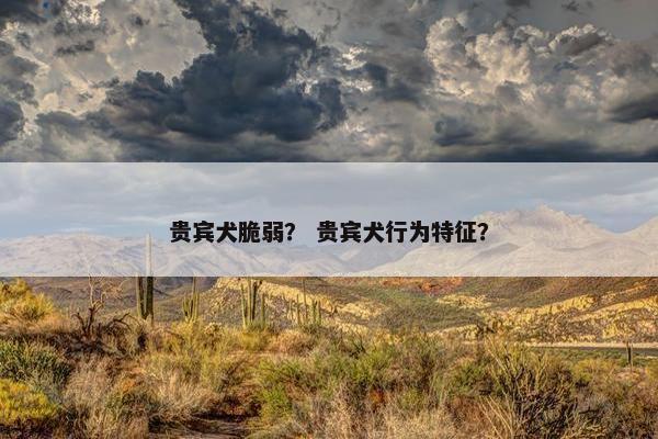 贵宾犬脆弱? 贵宾犬行为特征?