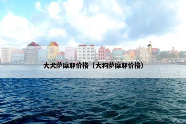 大犬萨摩耶价格(大狗萨摩耶价格)
