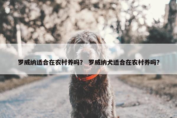 罗威纳适合在农村养吗? 罗威纳犬适合在农村养吗?