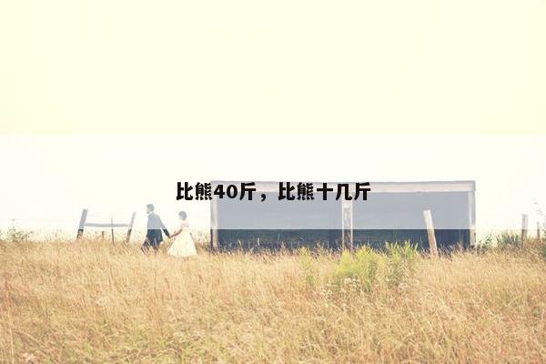 比熊40斤,比熊十几斤