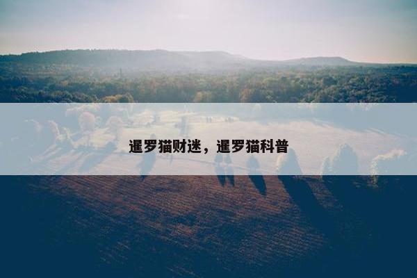暹罗猫财迷，暹罗猫科普