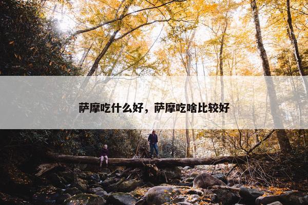萨摩吃什么好,萨摩吃啥比较好