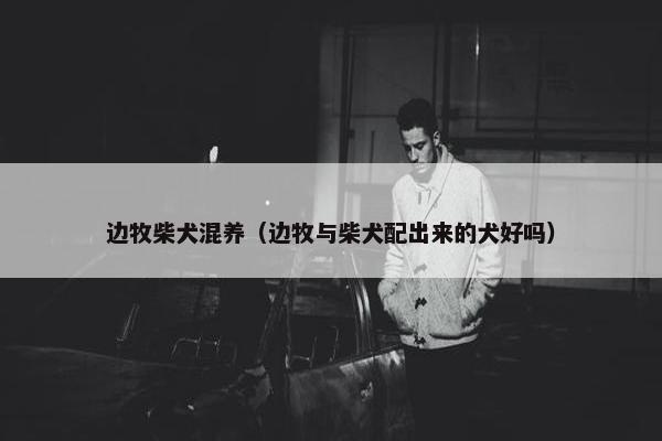边牧柴犬混养（边牧与柴犬配出来的犬好吗）