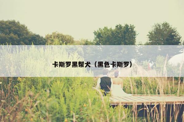 八大