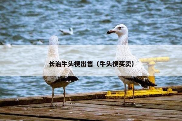 收容