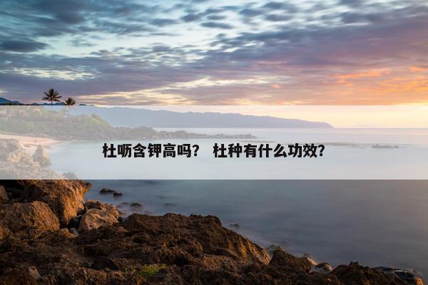 近义词