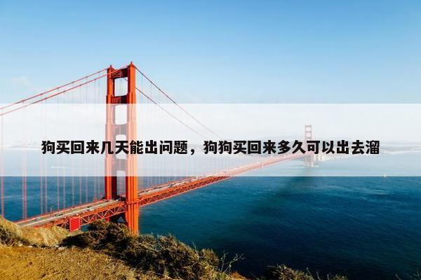 狗买回来几天能出问题，狗狗买回来多久可以出去溜