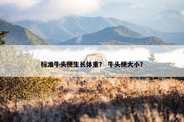 标准牛头梗生长体重？ 牛头梗大小？