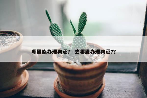 哪里能办理狗证？ 去哪里办理狗证?？
