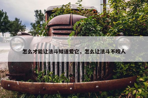 怎么才能让法斗知道爱它，怎么让法斗不咬人