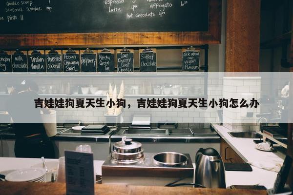 吉娃娃狗夏天生小狗，吉娃娃狗夏天生小狗怎么办