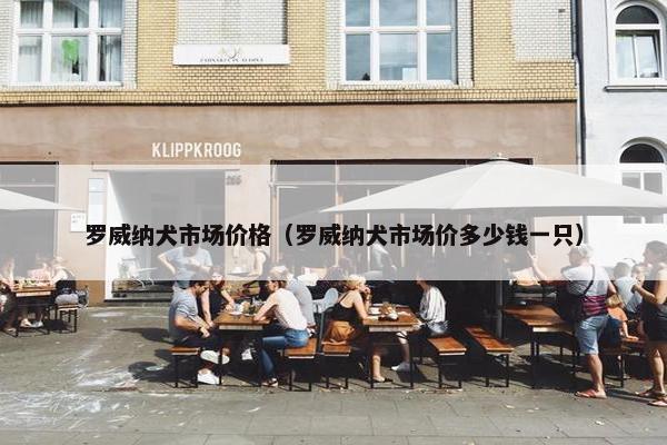 罗威纳犬市场价格（罗威纳犬市场价多少钱一只）