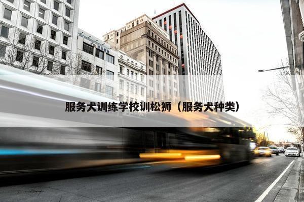 服务犬训练学校训松狮(服务犬种类)