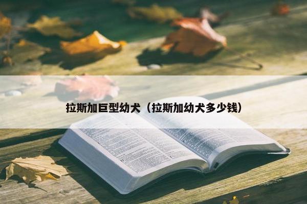 拉斯加巨型幼犬（拉斯加幼犬多少钱）