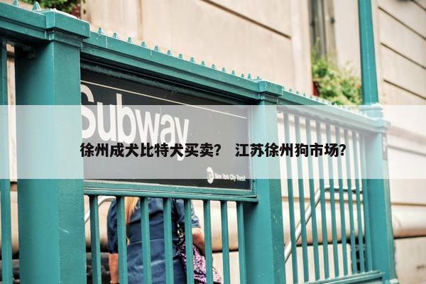 徐州成犬比特犬买卖？ 江苏徐州狗市场？