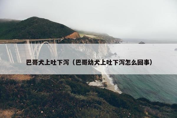 巴哥犬上吐下泻（巴哥幼犬上吐下泻怎么回事）