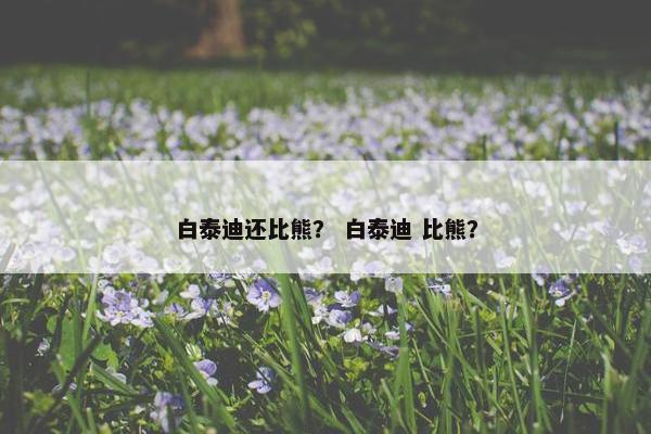 白泰迪还比熊？ 白泰迪 比熊？