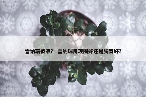 雪纳瑞被罩？ 雪纳瑞用项圈好还是胸背好？