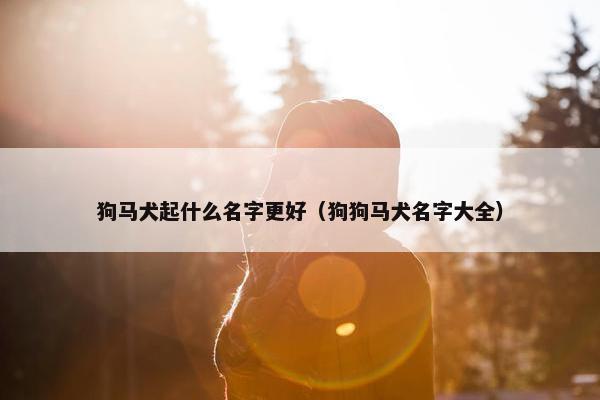 狗马犬起什么名字更好（狗狗马犬名字大全）