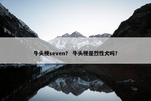 牛头梗seven? 牛头梗是烈性犬吗?
