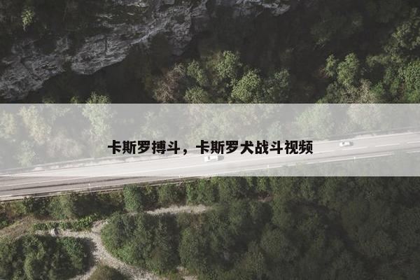 卡斯罗搏斗，卡斯罗犬战斗视频